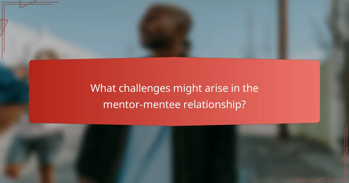 What challenges might arise in the mentor-mentee relationship?